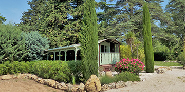 Bois de Cèdre, gîte en Provence